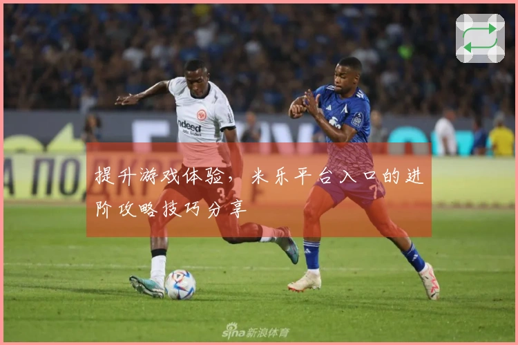 提升游戏体验，米乐平台入口的进阶攻略技巧分享